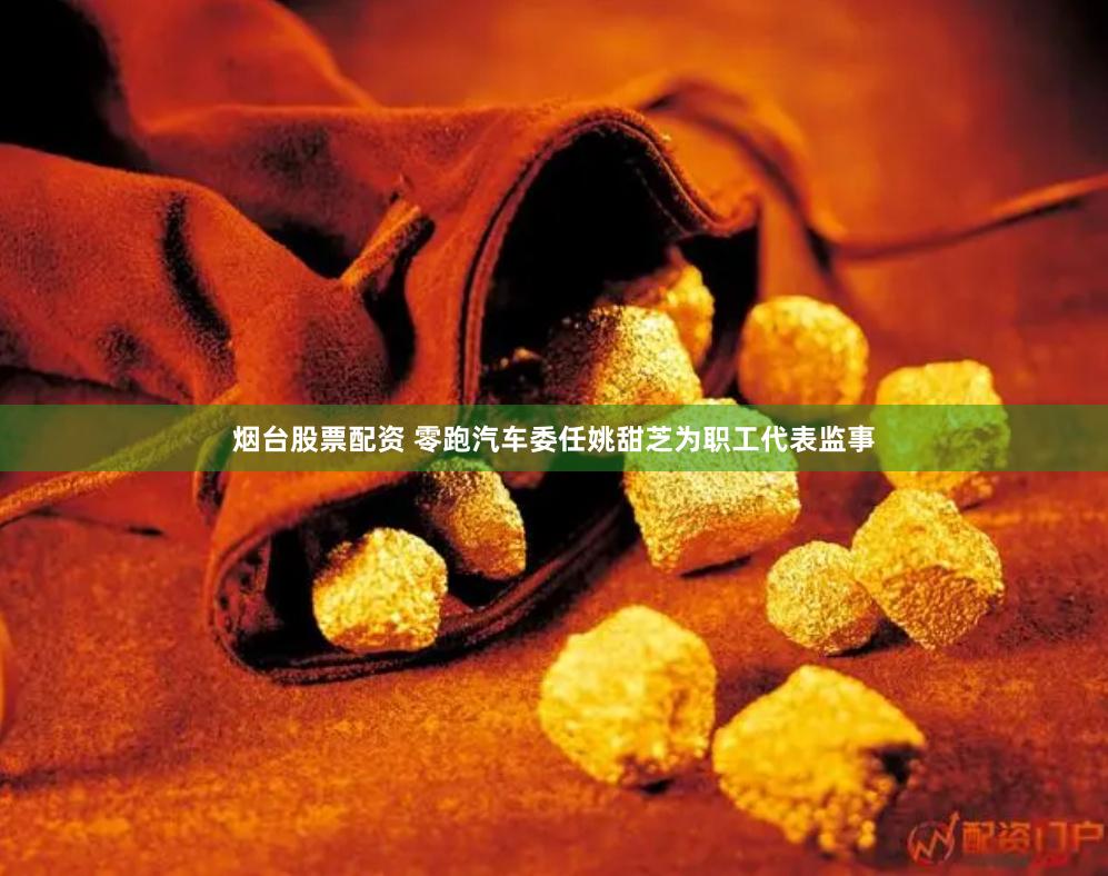 烟台股票配资 零跑汽车委任姚甜芝为职工代表监事