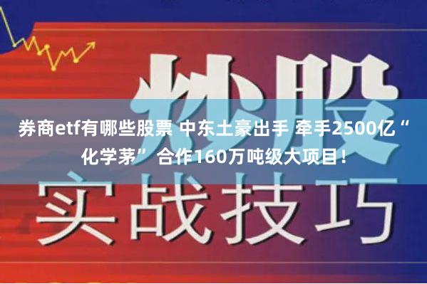 券商etf有哪些股票 中东土豪出手 牵手2500亿“化学茅” 合作160万吨级大项目！