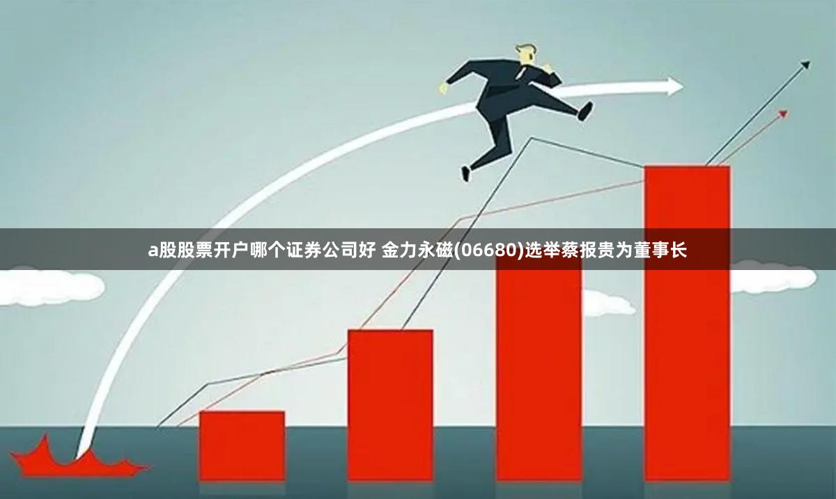 a股股票开户哪个证券公司好 金力永磁(06680)选举蔡报贵为董事长