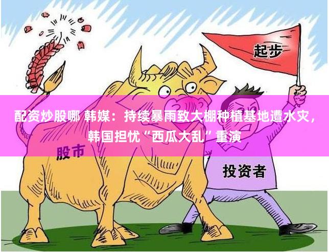 配资炒股哪 韩媒：持续暴雨致大棚种植基地遭水灾，韩国担忧“西瓜大乱”重演