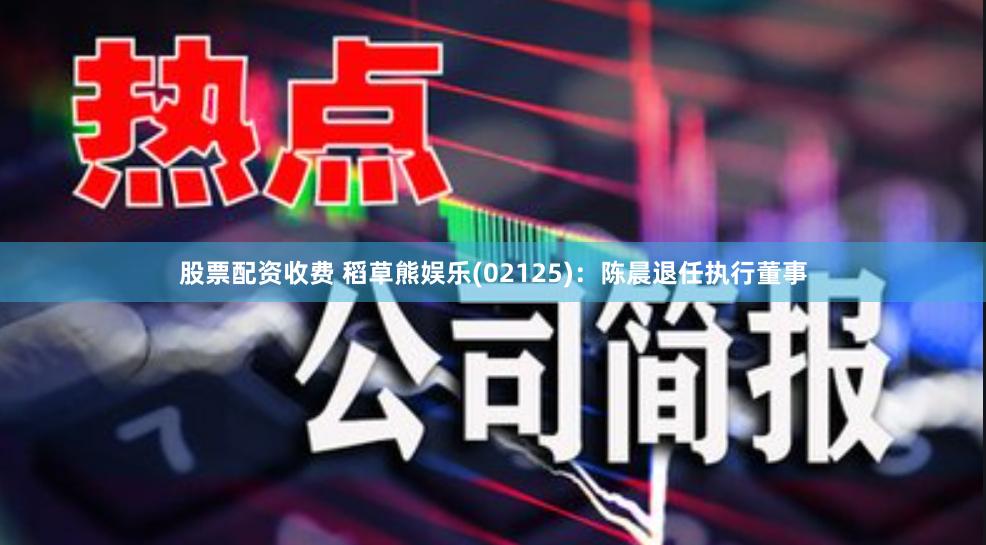 股票配资收费 稻草熊娱乐(02125)：陈晨退任执行董事
