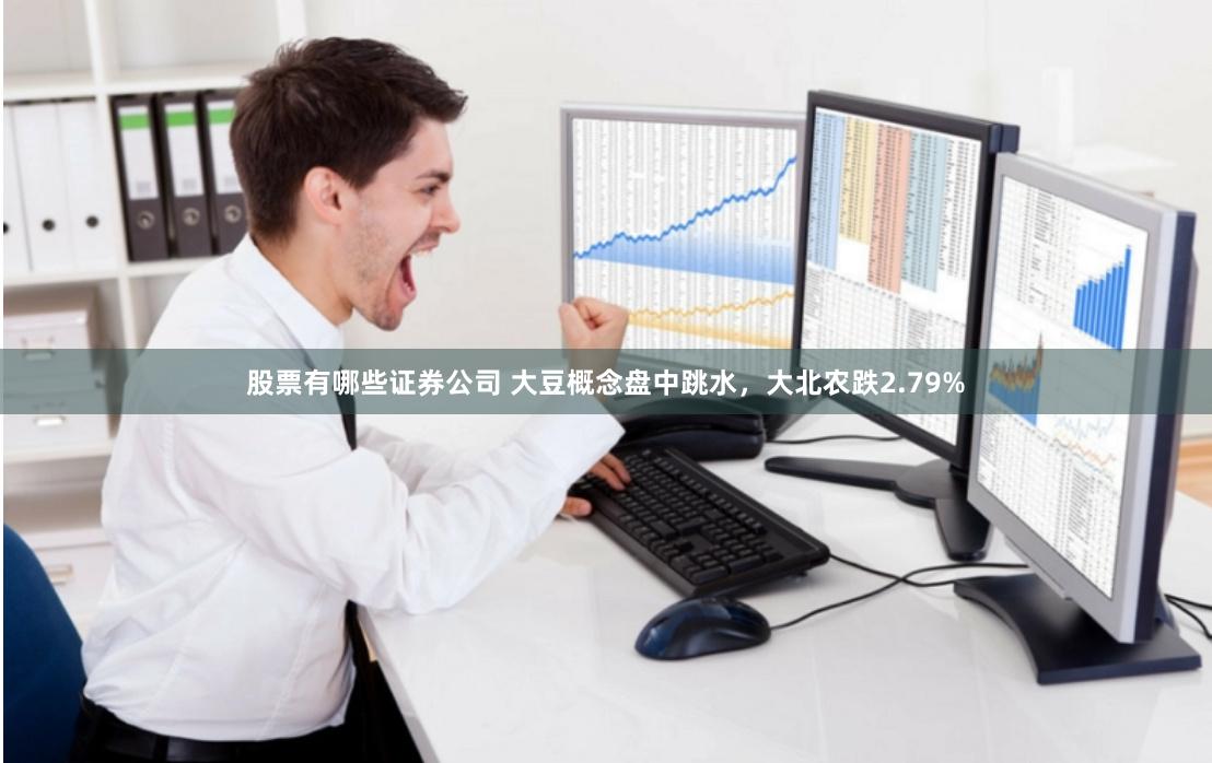 股票有哪些证券公司 大豆概念盘中跳水，大北农跌2.79%