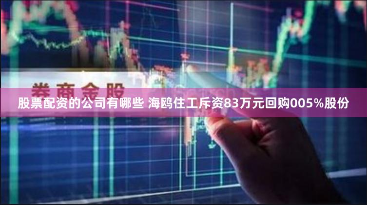 股票配资的公司有哪些 海鸥住工斥资83万元回购005%股份