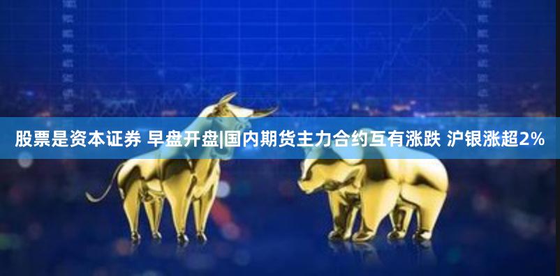 股票是资本证券 早盘开盘|国内期货主力合约互有涨跌 沪银涨超2%