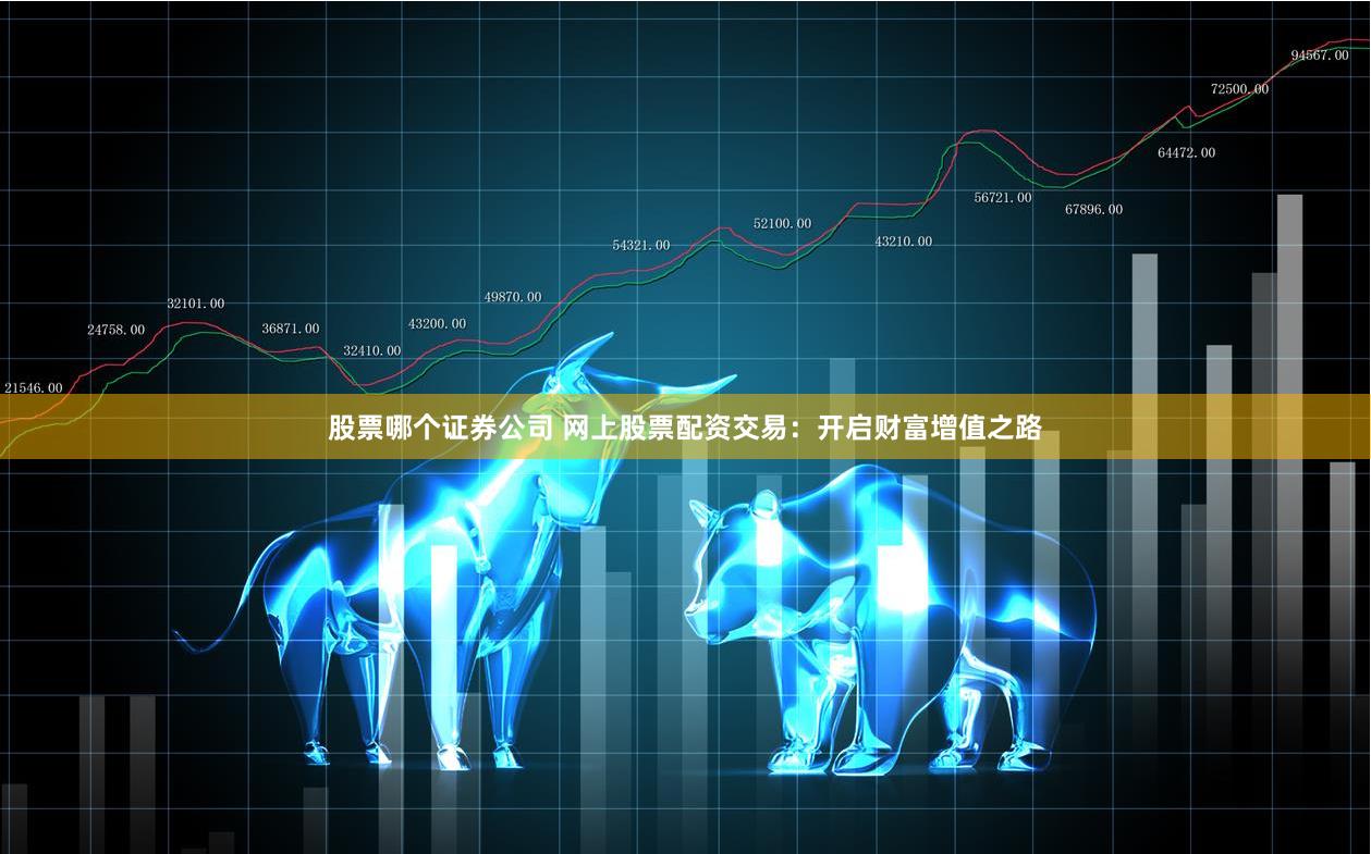 股票哪个证券公司 网上股票配资交易：开启财富增值之路
